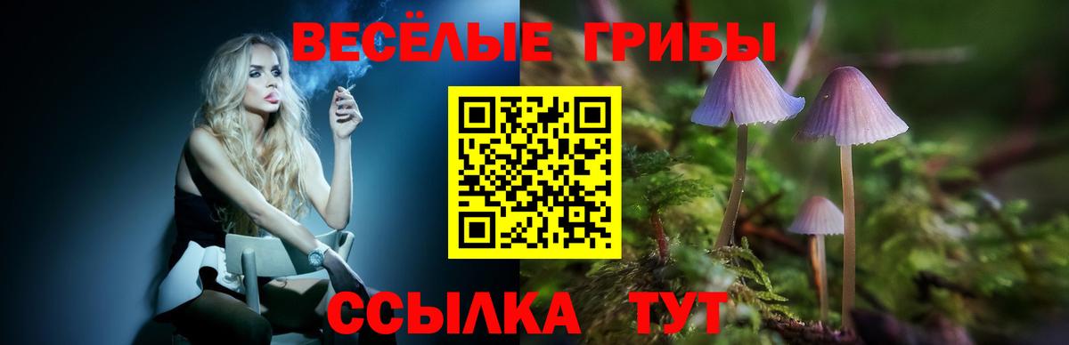 Галлюциногенные грибы Psilocybine cubensis Балашиха